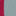 Transparent Fuchsia