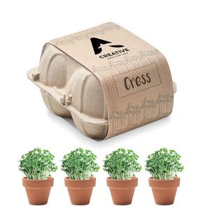 CRESS Saat-Set Kresse