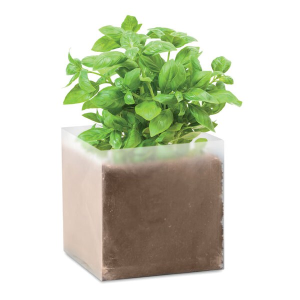 BASIL Eco-Friendly Basil Seed Compost Kit - GiftRetail MO9545