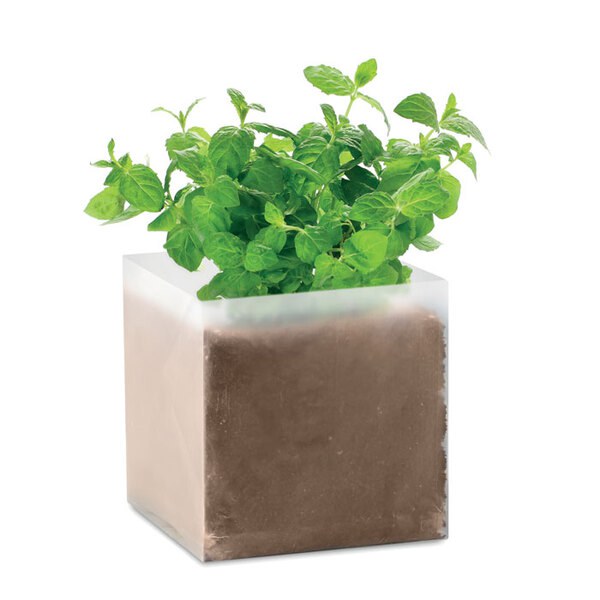 MINT Eco-Friendly Mint Seed Compost Kit for Gardens - GiftRetail MO9546