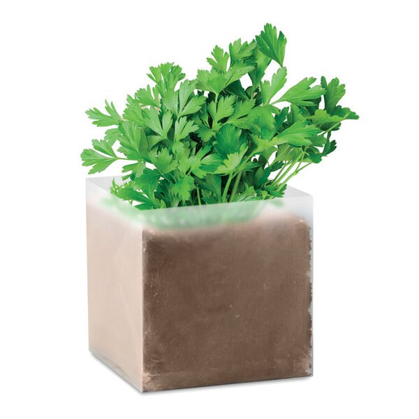 PARSELY Eco-Friendly Parsley Seed Compost Kit - GiftRetail MO9547