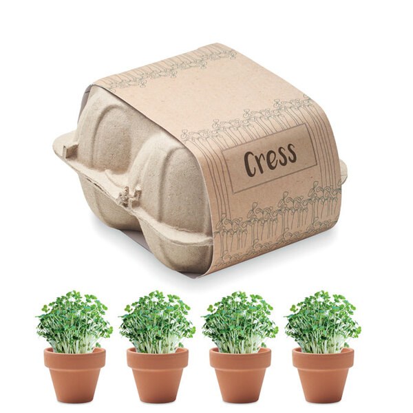 CRESS Saat-Set Kresse - GiftRetail MO6886