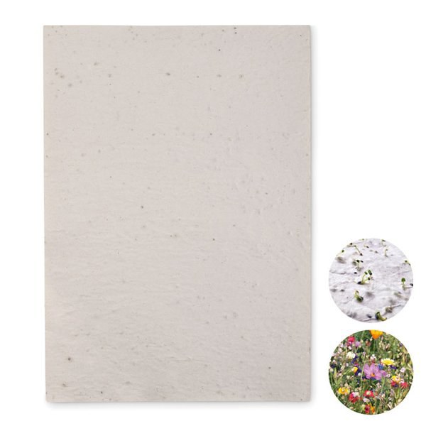 ASIDI Eco-Friendly A4 Wildflower Seed Paper Sheets - GiftRetail MO6914