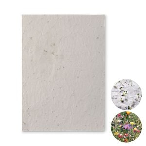ASIDE DIN A5 Wildblumen-Samenpapier - GiftRetail MO6915