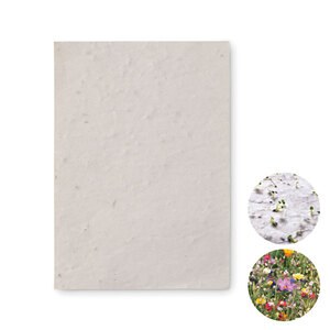 ASIDO DIN A6 Wildblumen-Samenpapier - GiftRetail MO6916