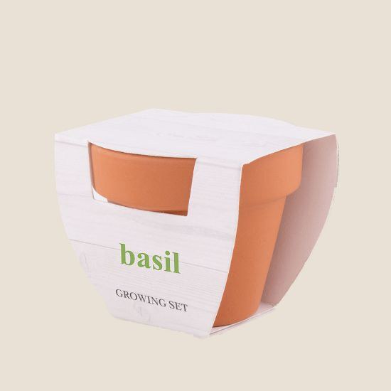 Goya 50549 - Terrakotta Topf 5 cm mit Basilikumsamen BASIL